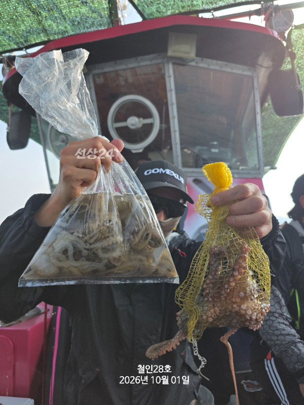 20261001_151531.jpg