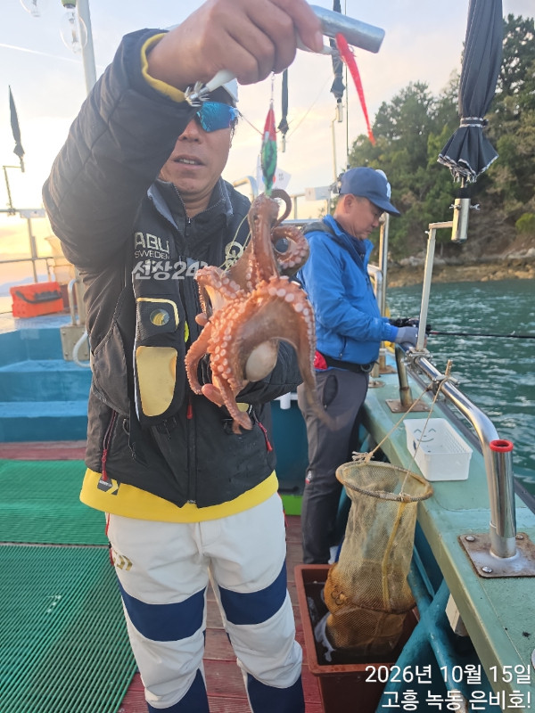 고흥 녹동 은비호!(두족류,돌돔,외수질)_사진_20261017_16.jpg
