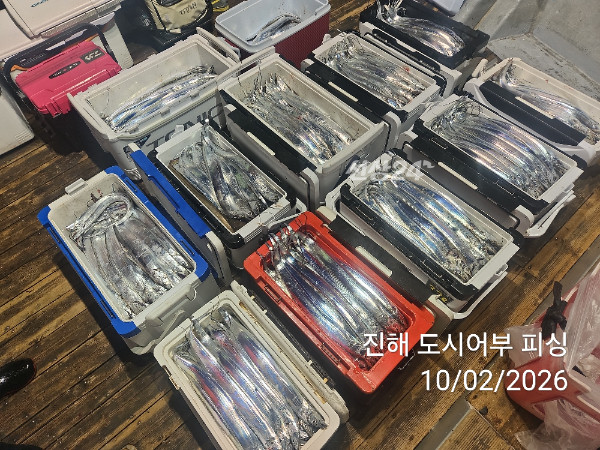 KakaoTalk_20261002_051645074_12.jpg