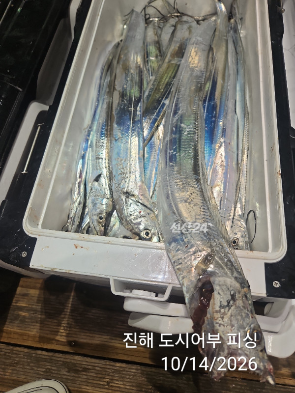 KakaoTalk_20261014_043827989_18.jpg