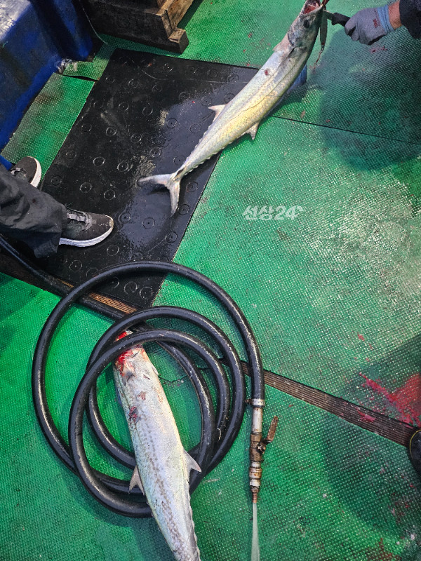 KakaoTalk_20261023_074819964_04.jpg