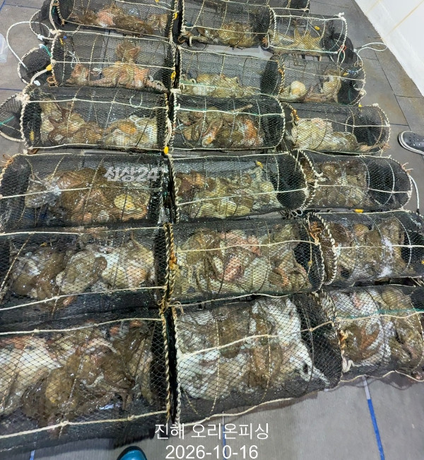 KakaoTalk_20261016_020529972_17.jpg