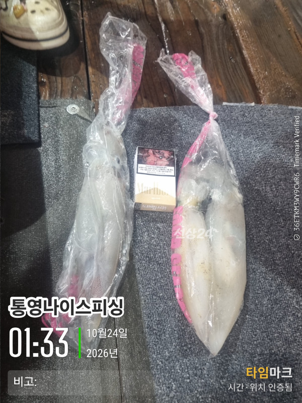 20261024_013345_글꼴-통영나이스피싱.jpg