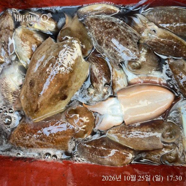 IMG_4956.jpeg