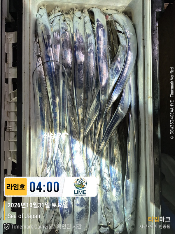 KakaoTalk_20261031_043559265_12.jpg