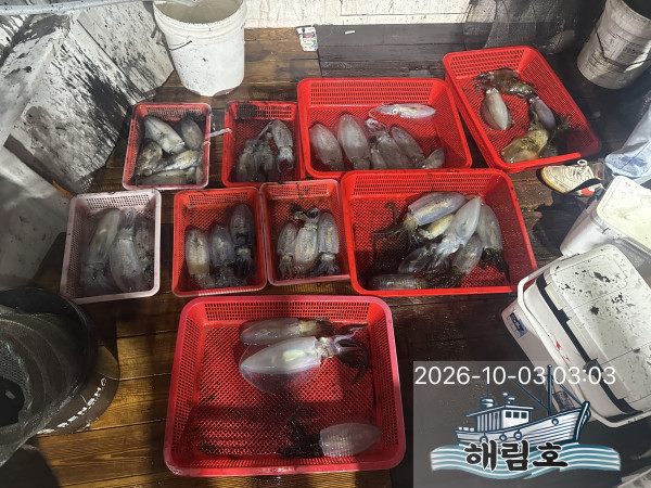 IMG_4795.jpeg