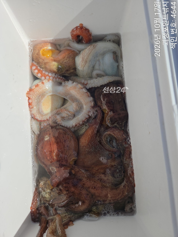 KakaoTalk_20261018_143747004_09.jpg