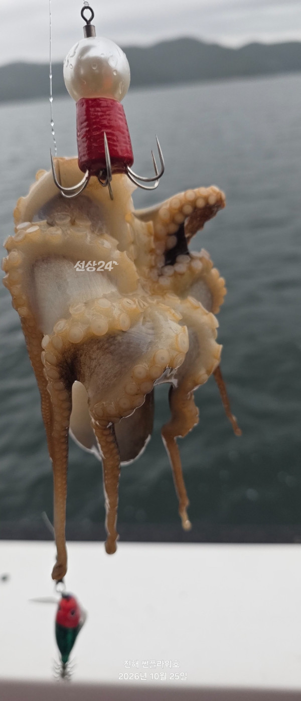 85719.jpg