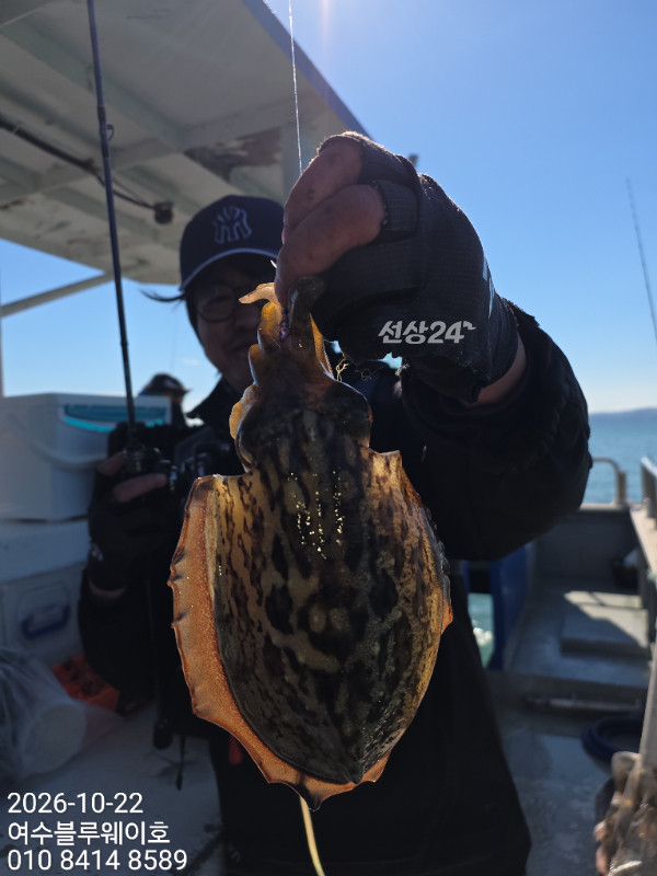 3460.jpg