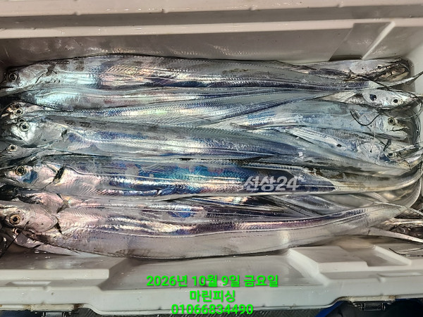 KakaoTalk_20261009_072908078_03.jpg
