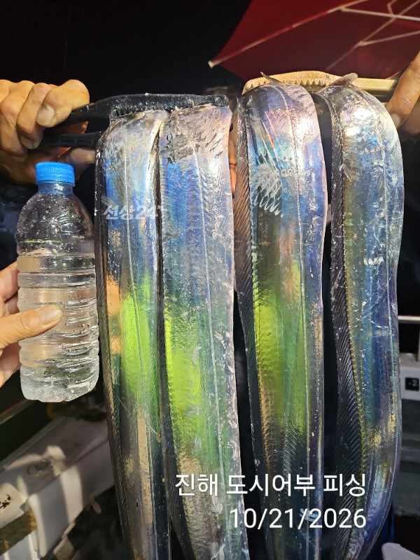 KakaoTalk_20261021_040550071_06.jpg