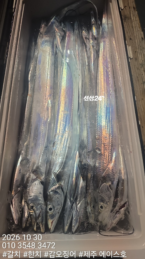 KakaoTalk_20261030_104958423_08.jpg