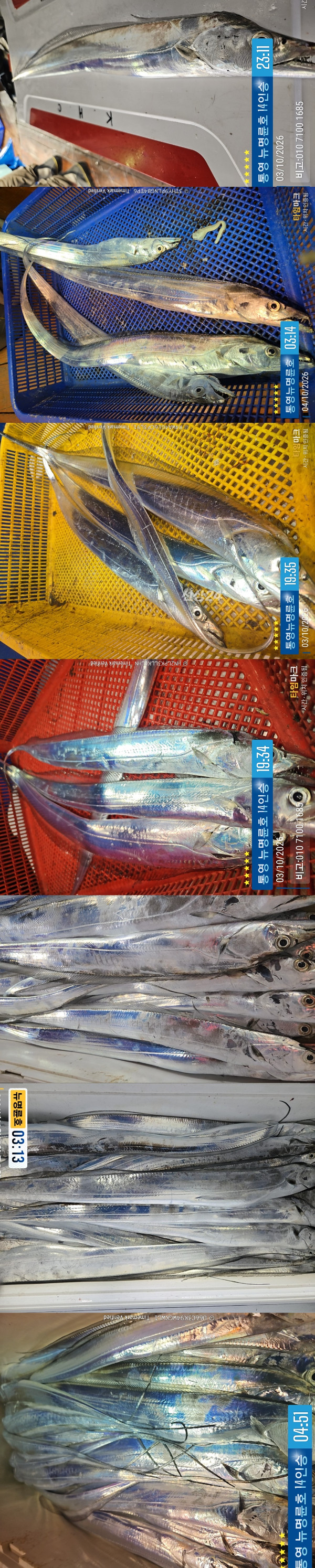 10-4갈치2.jpg
