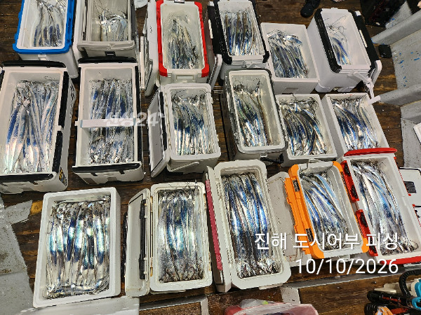 KakaoTalk_20261010_043600356_08.jpg