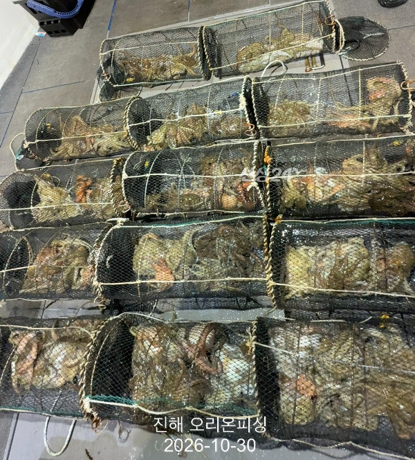 KakaoTalk_20261030_034708425_16.jpg