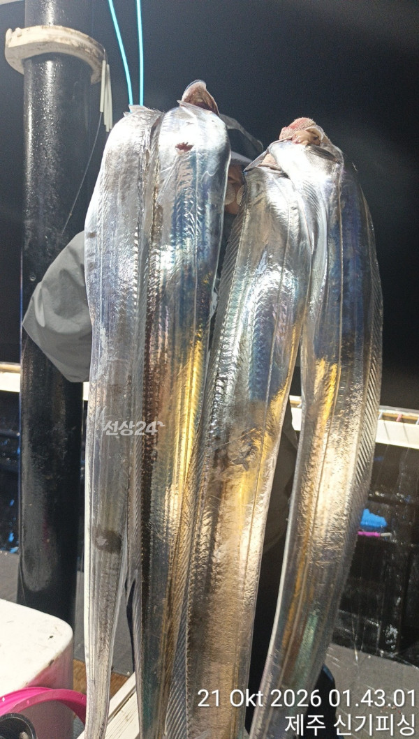 KakaoTalk_20261021_173934356_10.jpg