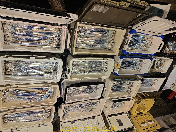 CE6059E2-9DF8-460F-8782-B3D81A1EA555.jpeg