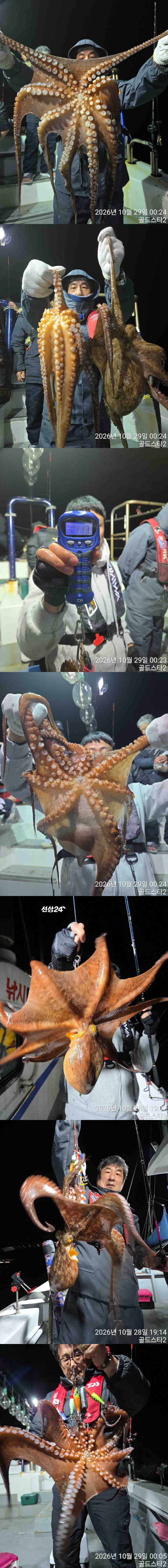 [포맷변환]d.jpg