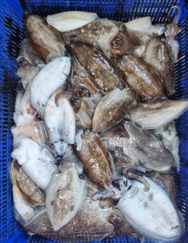 KakaoTalk_20261002_185514617_06.jpg