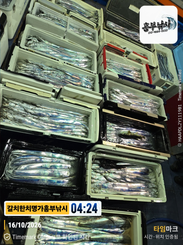 20261016_042417_Japan_제목-갈치한치명가흥부낚시.jpg
