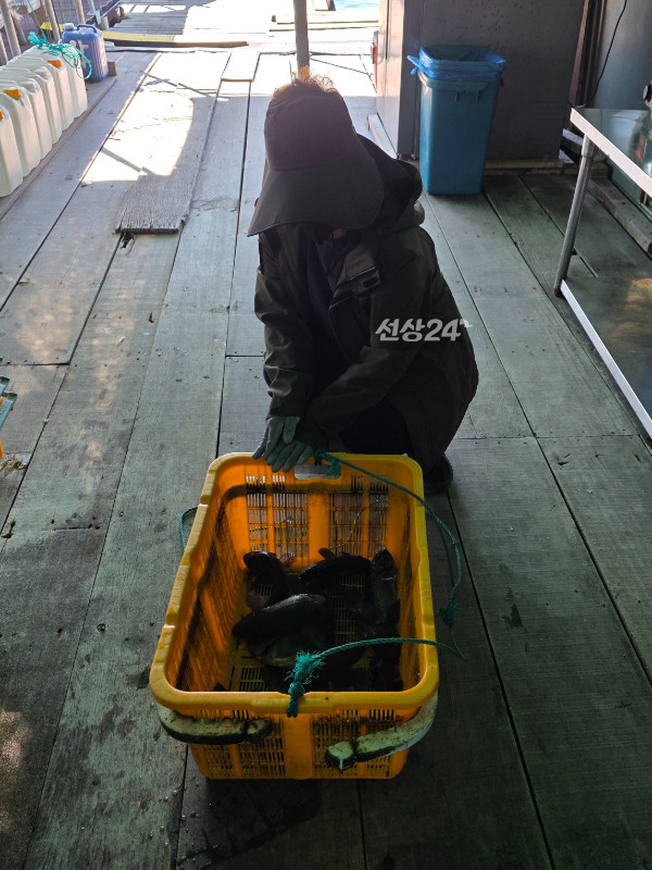 80479.jpg