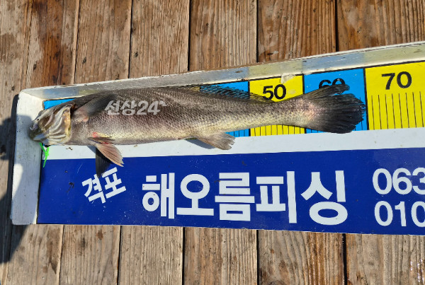 8931.jpg