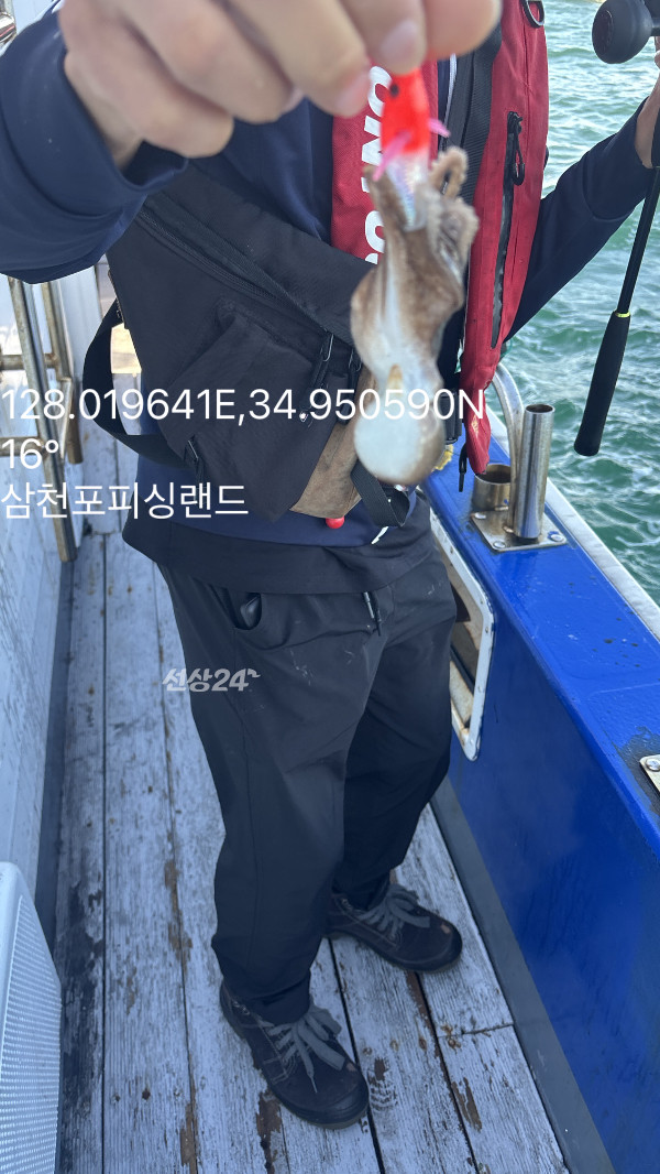 IMG_6253.jpeg