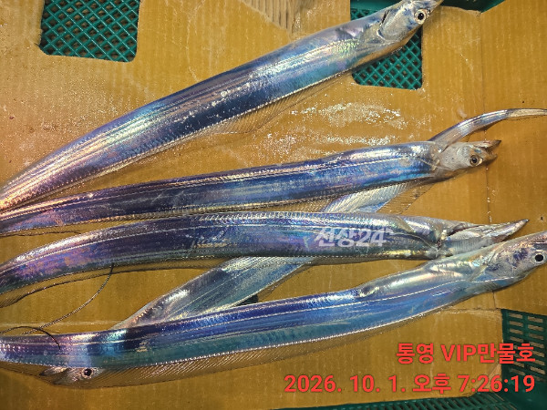 1000050762.jpg