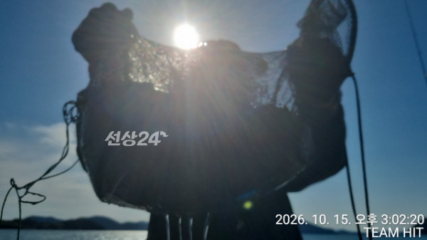 1000045853.jpg