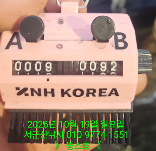 군산 선상낚시, 바다낚시 출조 전문 ☆서군산낚시☆_사진_20261019_9.jpg