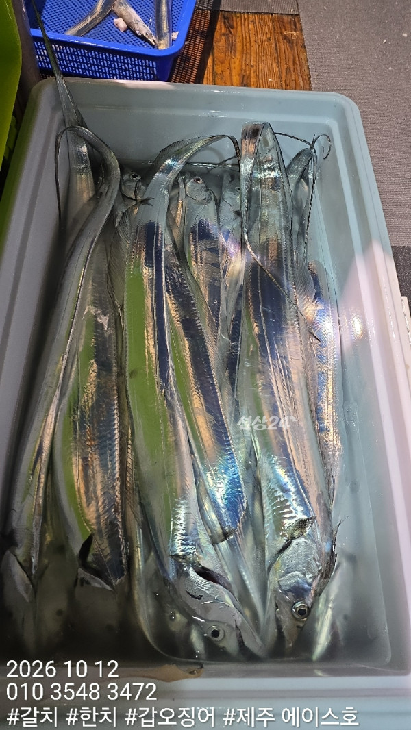 KakaoTalk_20261012_105258679_10.jpg