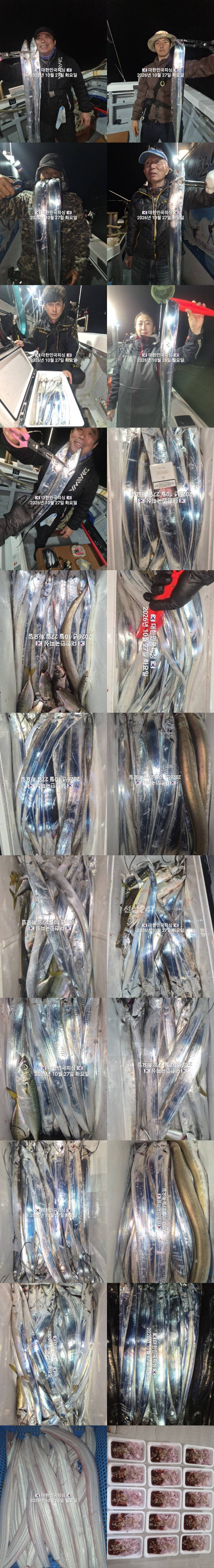 갈치1.jpg