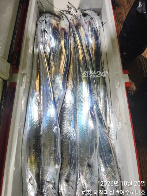 KakaoTalk_20261020_075839159_12.jpg