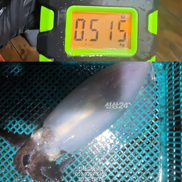 9770.jpg