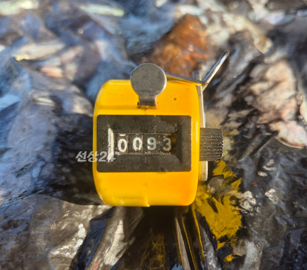 24590.jpg