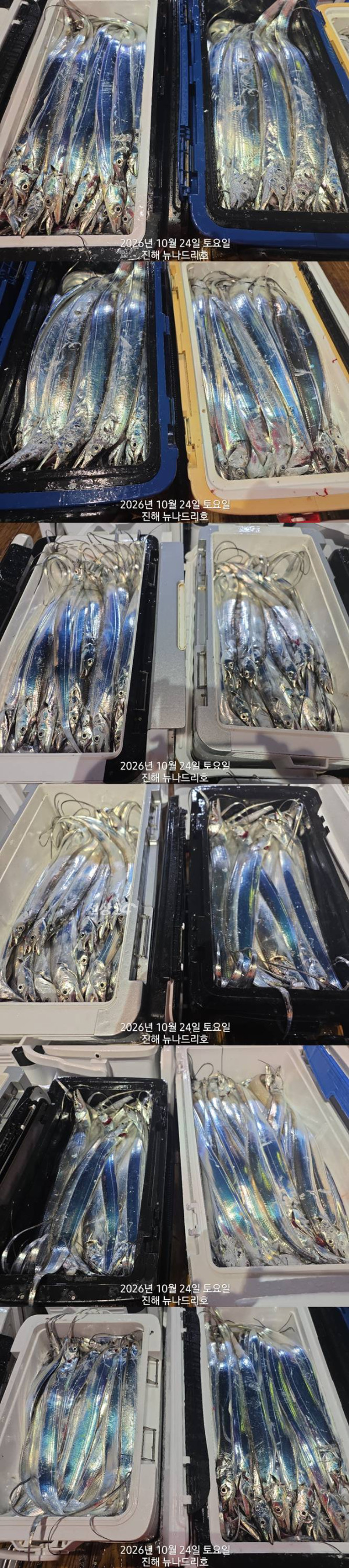 낱2.jpg