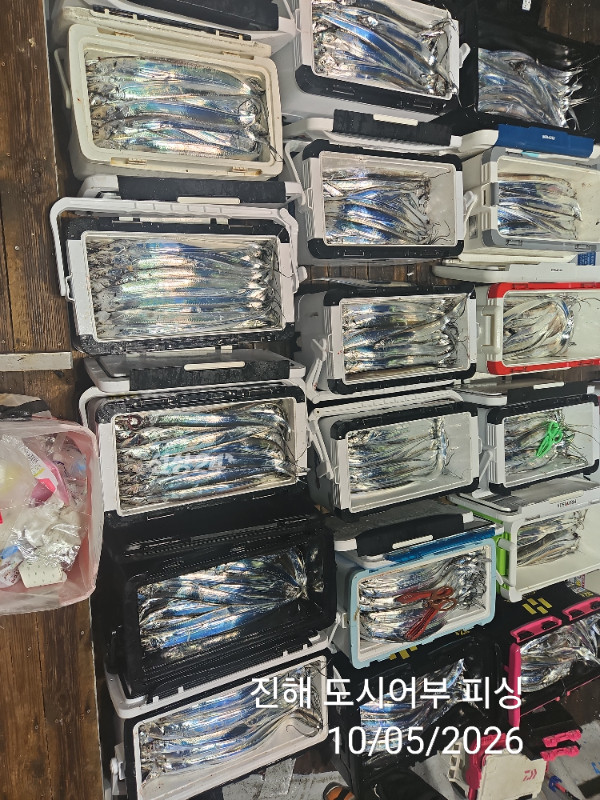KakaoTalk_20261005_051530639_09.jpg