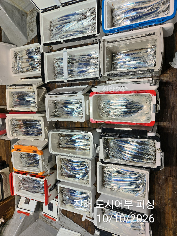 KakaoTalk_20261010_043600356_07.jpg