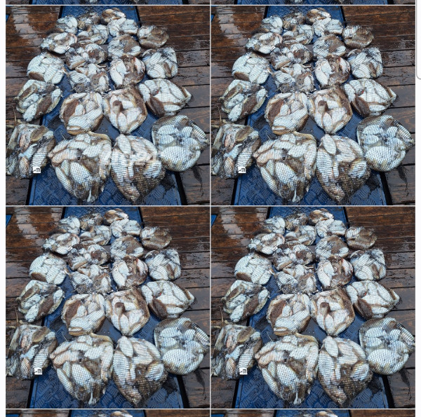 1000083208.jpg