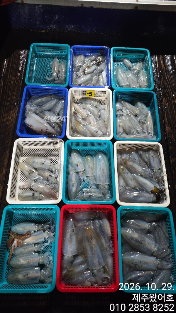 제주왔어호_사진_20261029_2.jpg