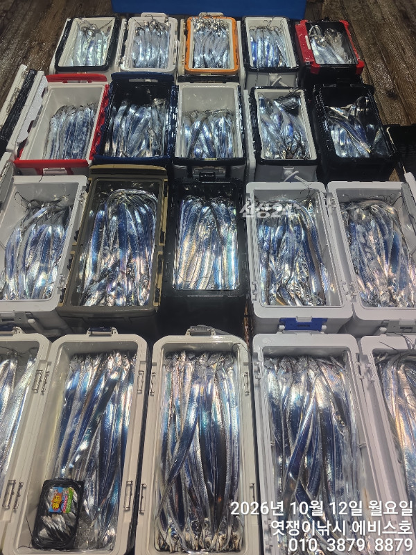 73706.jpg