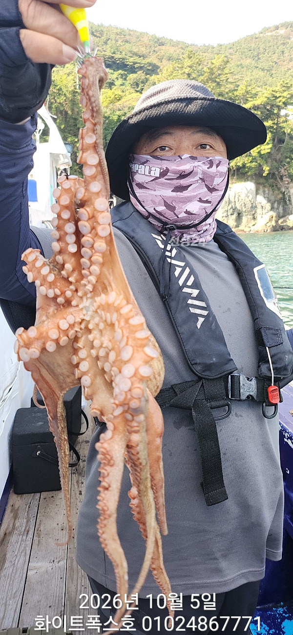 7961.jpg