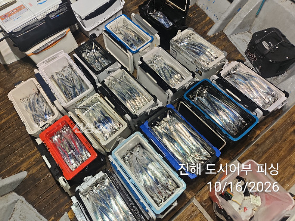 KakaoTalk_20261016_060819468_15.jpg