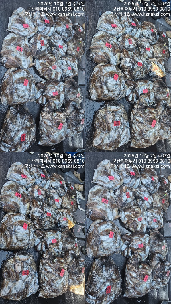 1007리더망탱이.jpg