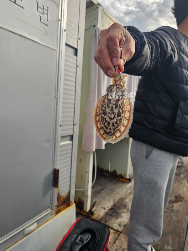 1000119458.jpg