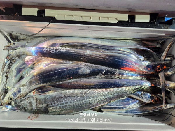 KakaoTalk_20261010_051911490_04.jpg