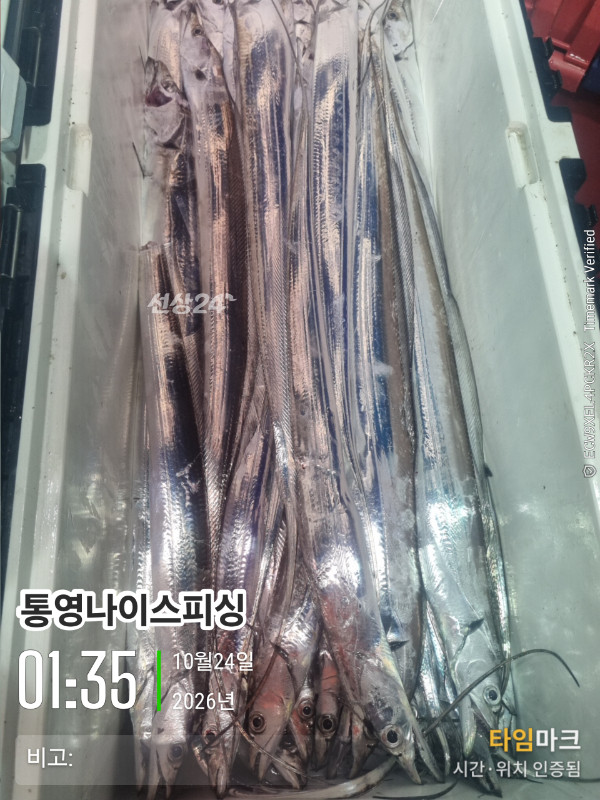 20261024_013557_글꼴-통영나이스피싱.jpg