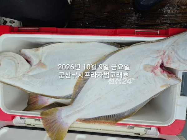 KakaoTalk_20261009_163031675_09.jpg