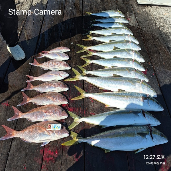 StampCamera20261015122749.jpg