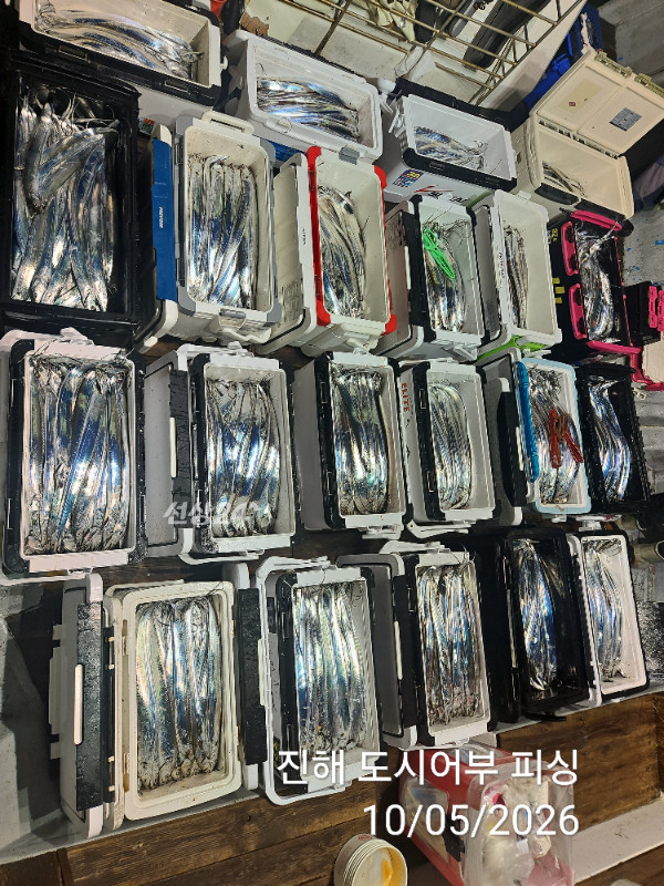 KakaoTalk_20261005_051530639_08.jpg